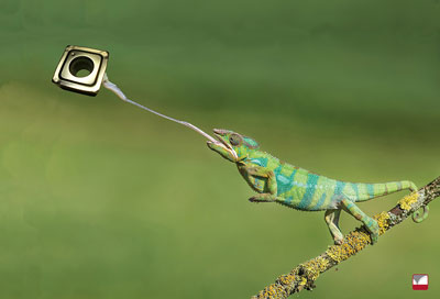 Werkstoffe in der Fertigung